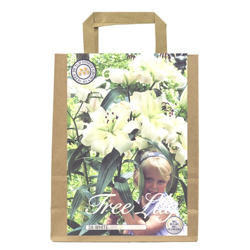 Lilienzwiebeln Sets bunte Blumenzwiebeln Lilium Zwiebeln Knollen Lilien Blüte - Bild 59 von 89