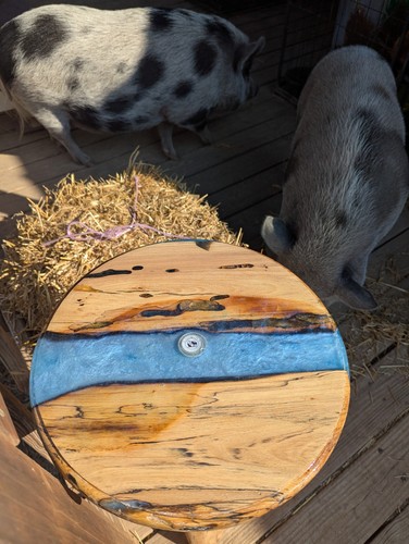25" Hand Carved Wood Blue Epoxy Table Adjustable Feet, Benefits Animal Sanctuary - Picture 9 of 24