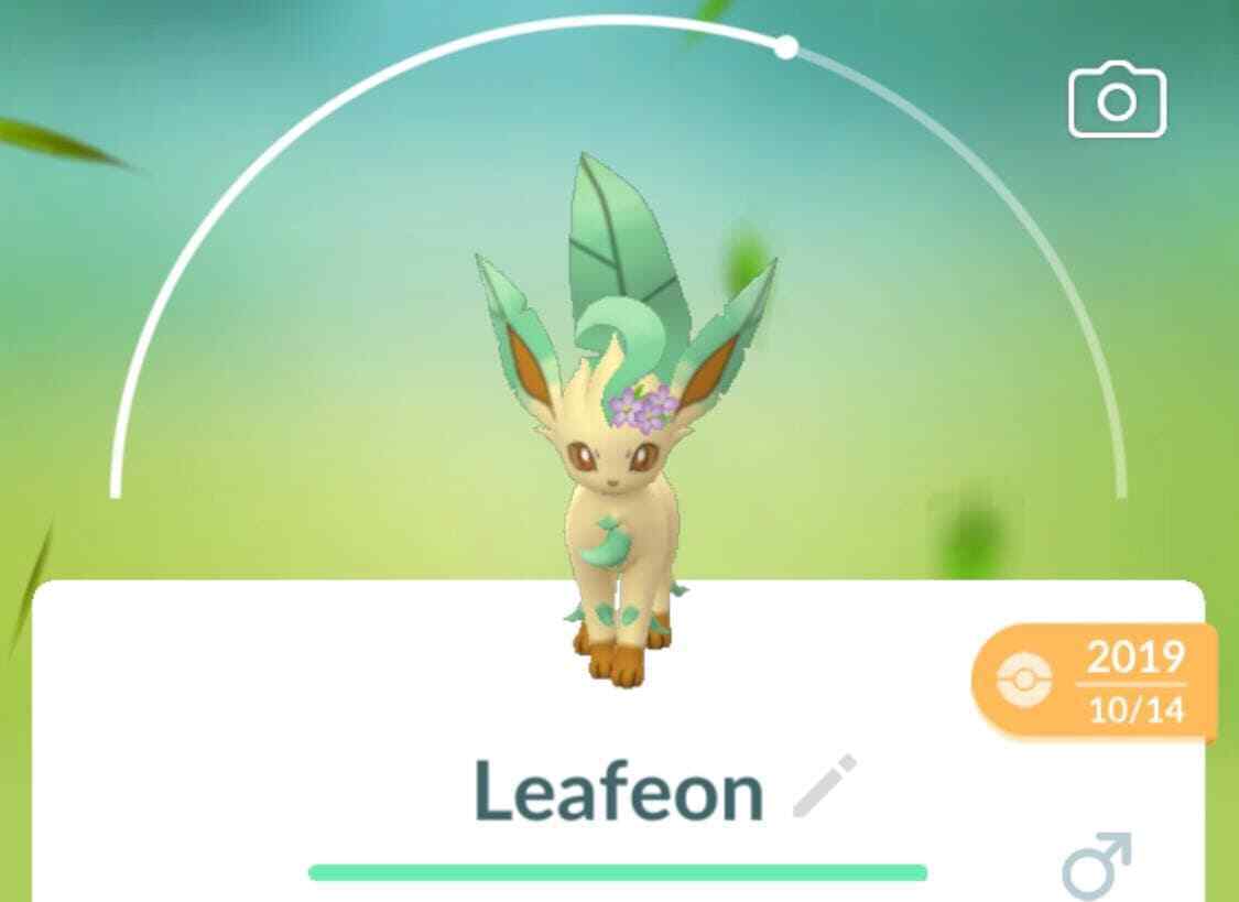 Pokemon Go Flower Crown Eevee (Safe) Quarantine Sp. Offer