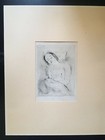 Bild 5 von 8