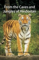 Helena Pretrovna Blavatsky | From The Caves And Jungles Of Hindostan | Buch