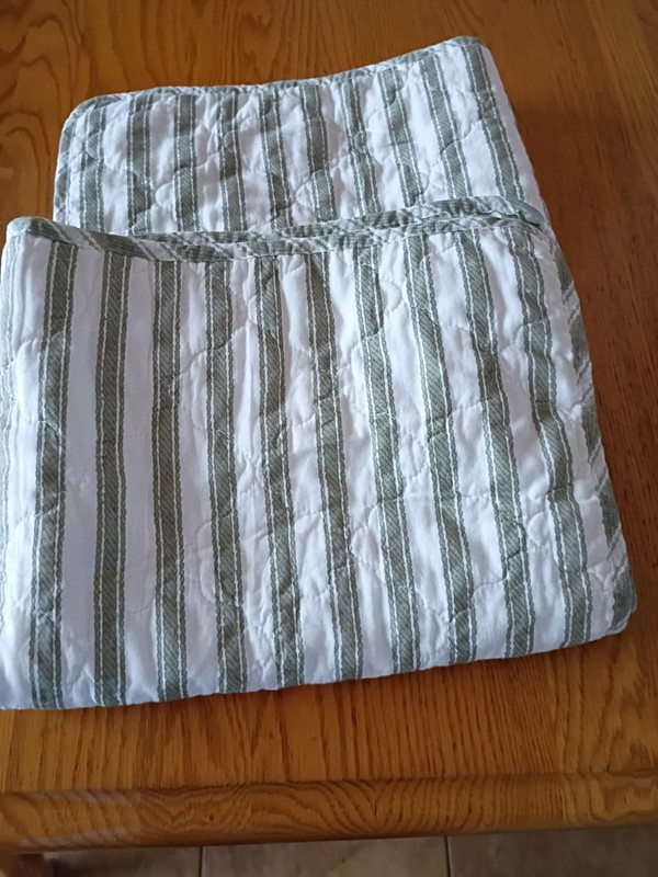 Lot Of Two Standard Size Pillow Shams Sage Green And Cream Stripe New