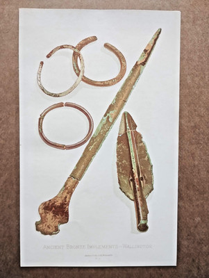 Antike Bronze Anbaugeräte aus Wallington, Northumberland - antiker Druck - 1885