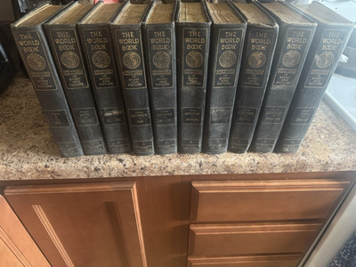 The World Book Of Organized Knowledge In Story and Picture 1925 10 Volume Set