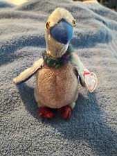 Ty Beanie Babies Buzzy The Buzzard 2000 Retired MWMT 