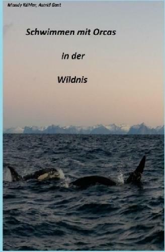 Schwimmen Mit Orcas In Der Wildnis 3616