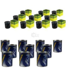 10x Original MANN Ölfilter W 7053 + 10x SCT Motor Flush Motorspülung