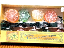 camping party Light Set Indoor/ Outdoor Festive Citrus String 10 Lights NIB