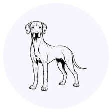 24 x 'Rhodesian Ridgeback Dog' Stickers (SK00078208)