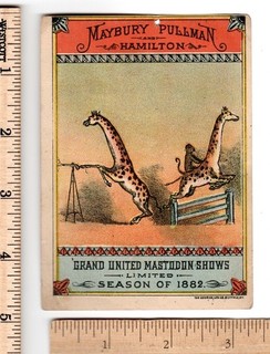 1882 CIRCUS MAYBURY PULLMAN HAMILTON Grand United MASTODON SHOWS Trade Card