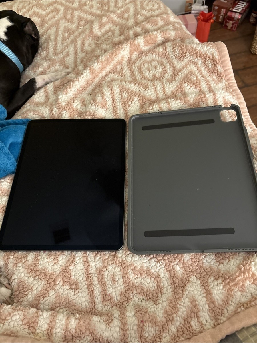 Buy Apple iPad Pro (12.9-inch) A1652 256 GB, Wi-Fi + 4G, 12.9 in