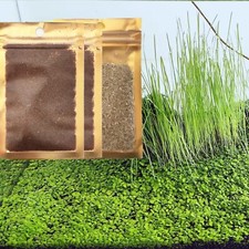 3 Bags Aquarium Plant S.e.e.d set not aritifical plastic Fresh Water Grass fo...
