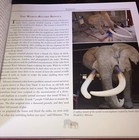 Picture 5 of 24