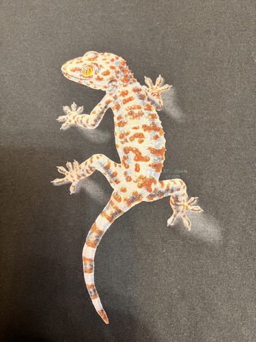 VINTAGE Alore' Cropped Gecko T Shirt Sz L Made In USA - Picture 3 of 9