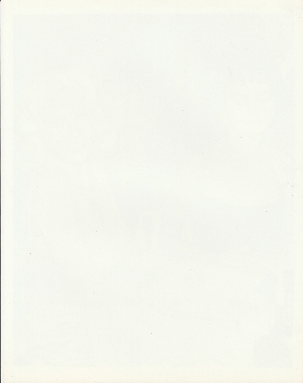 Bild 2 von 2
