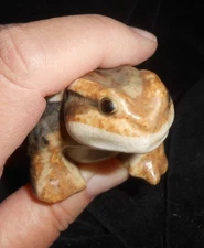 Super Sweet! ~ TOAD or FROG ~ Made in Japan ~ Porcelain? ~ Realistic