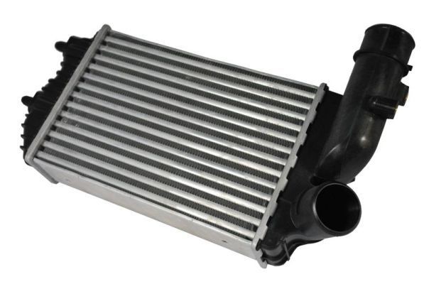 Thermotec LadeluftküHler DAF001TT FüR CitroËN Passend FüR Fiat Peugeot-image