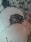Bild 7 von 15