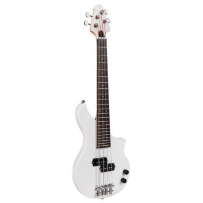 Tiny Bass TBP-2400WH Bass