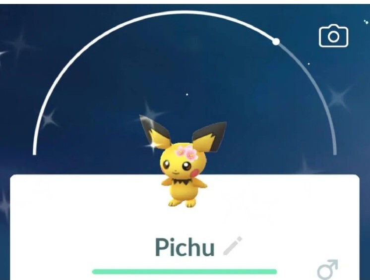 Pokemon Shiny Pichu ( Cherry Blossom ) Go | eBay
