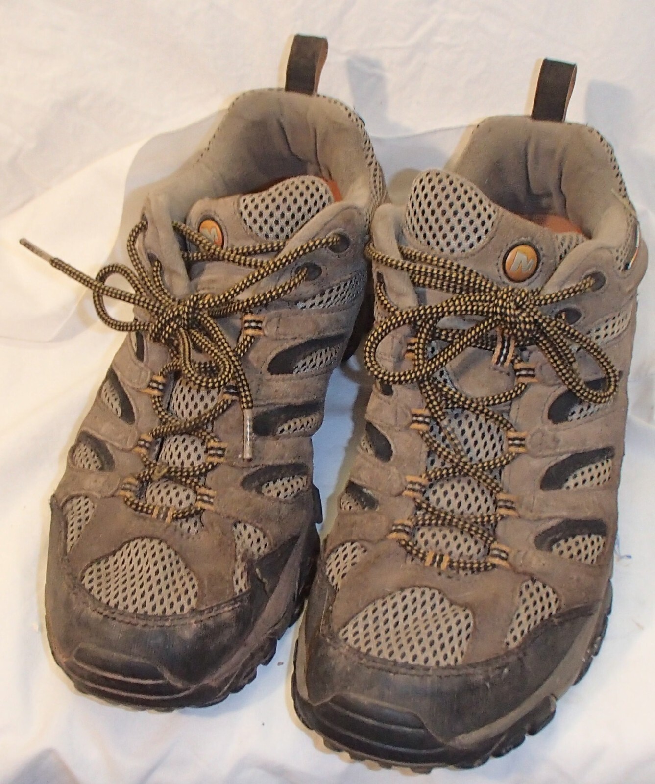 Scarpe da trekking continuum Merrell da uomo Moab ventilatore marrone noce J86595 12