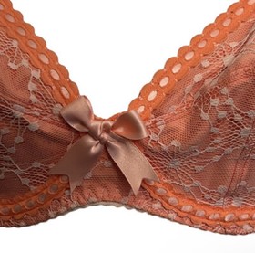 Agent Provocateur Bra Size 32D