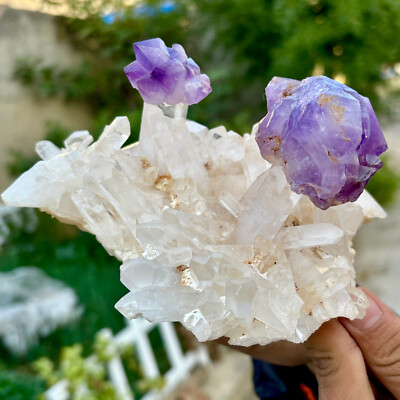 1.88LB Natural Transparent Chrysanthemum crystal Cluster with Amethyst Specimen