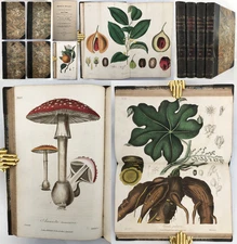1831 Stephenson MEDICAL BOTANY 4 Vols Plants Vegetables 185 HAND COLOUR PLATES