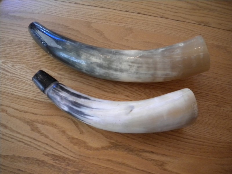 TWO POLISHED COW HORNS - POWDER HORNS -  STEER HORNS - SCRIMSHAW - BLACK POWDER