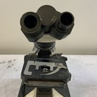 Foto 3 di 7
