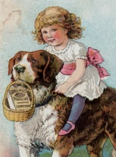1880s James Pyle's Pearline "Otho" St. Bernard Dog & Child F137