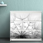 Foto 7 di 10