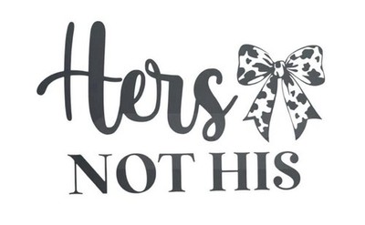 HERS Not HIS Fun  Die Cut Vinyl Decal Car Window Colors & Sizes