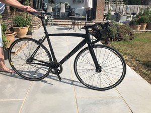 specialized langster ebay