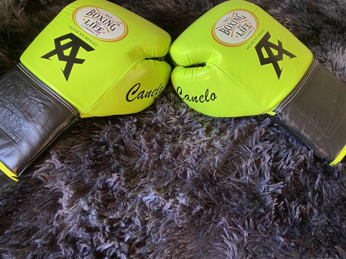 Ebay boxing gloves sales