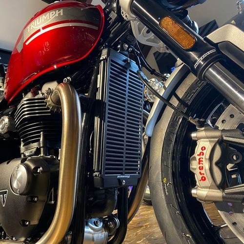 Pyramide Kühler Schutz Grill Triumph Bonneville T100 T120 2016 - 2023 - Bild 6 von 7
