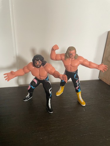 Fabulous Freebirds WCW Galoob UK Exclusive Hayes G...