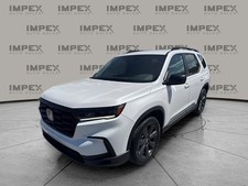 2025 Sport