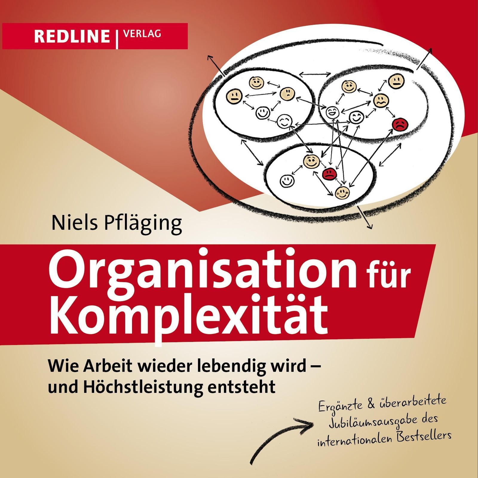 Organisation für Komplexität Niels Pfläging