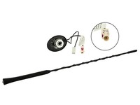 15-7677880 Calearo Dachantenne Am/Fm 76° Stabneigung 12V Extern