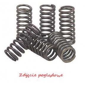 SUZUKI SV 650 (CARROSSÉ - SANS ABS) RESSORTS D'EMBRAYAGE (99-02) - Imagen 1 de 1