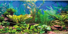 48X24 Inches Aquarium Background Aquatic Plant River Bed Lake Fish Tank Backgr