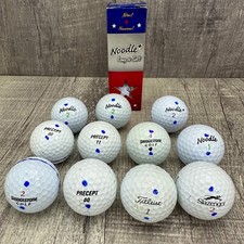 Mixed Lot Of 14 Assorted Golf Balls Noodle, Precept, Titleist, Barely Used Nice