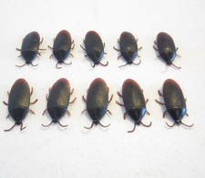 10 REALISTIC FAKE COCKROACHES LARGE CREEPY COCK ROACH BUGS PRANK GAG GIFT