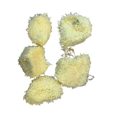5 Papyrus de TIBER Balls 25 gr. Yellow C1411 Polyamide Yarn Discontinued France