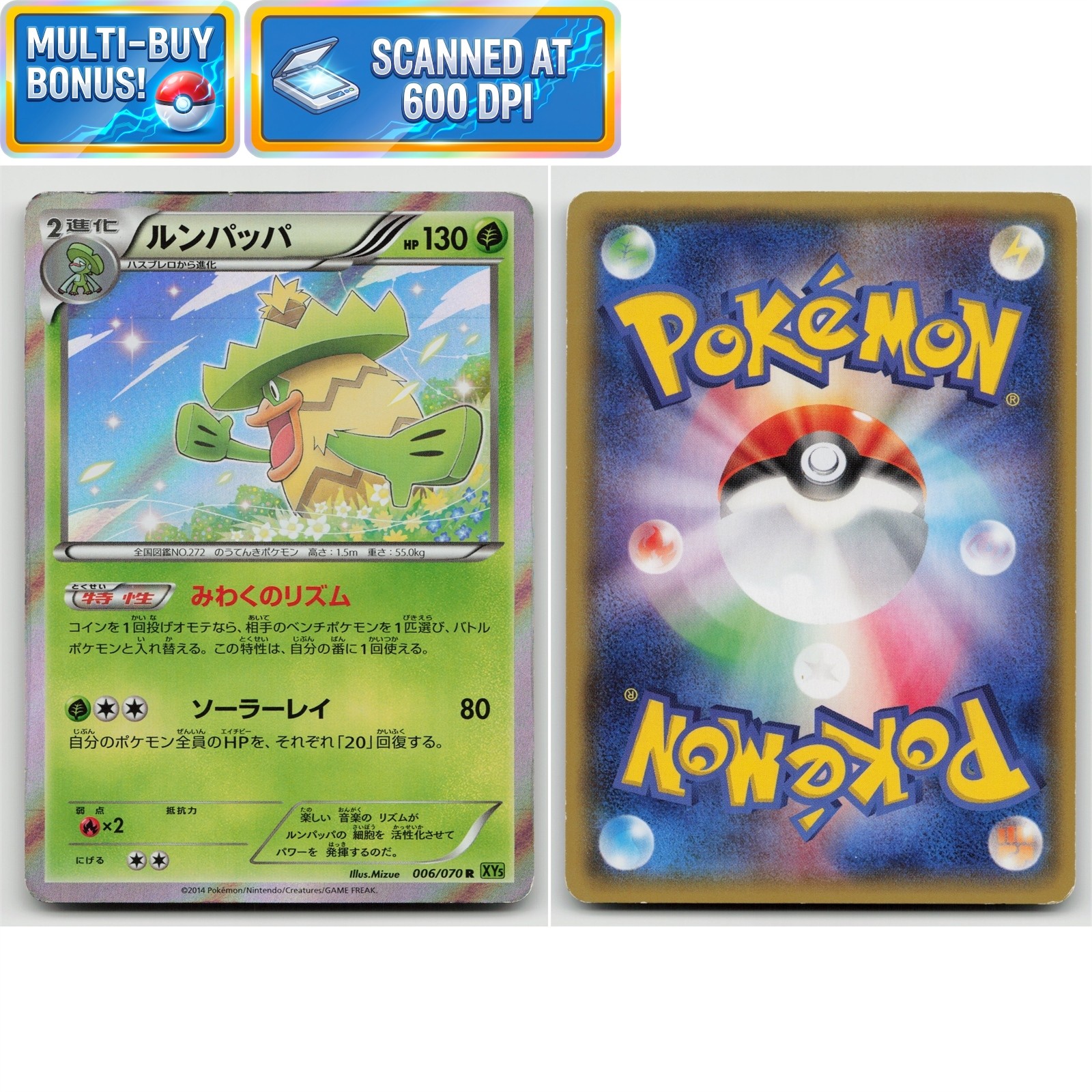 Ludicolo 1st Edition 006/070 Tidal Storm XY5 LP Japanese Pokémon TCG Card