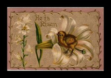 Easter POSTCARD He Is Risen Chick Lily Embossed 1910 Wausau Wisconsin