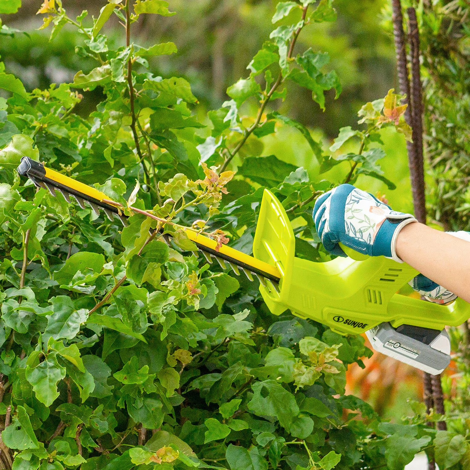 Sun Joe 24V Cordless 3-Tool Garden Combo Kit: Hedger, Trimmer & Leaf Blower Free
