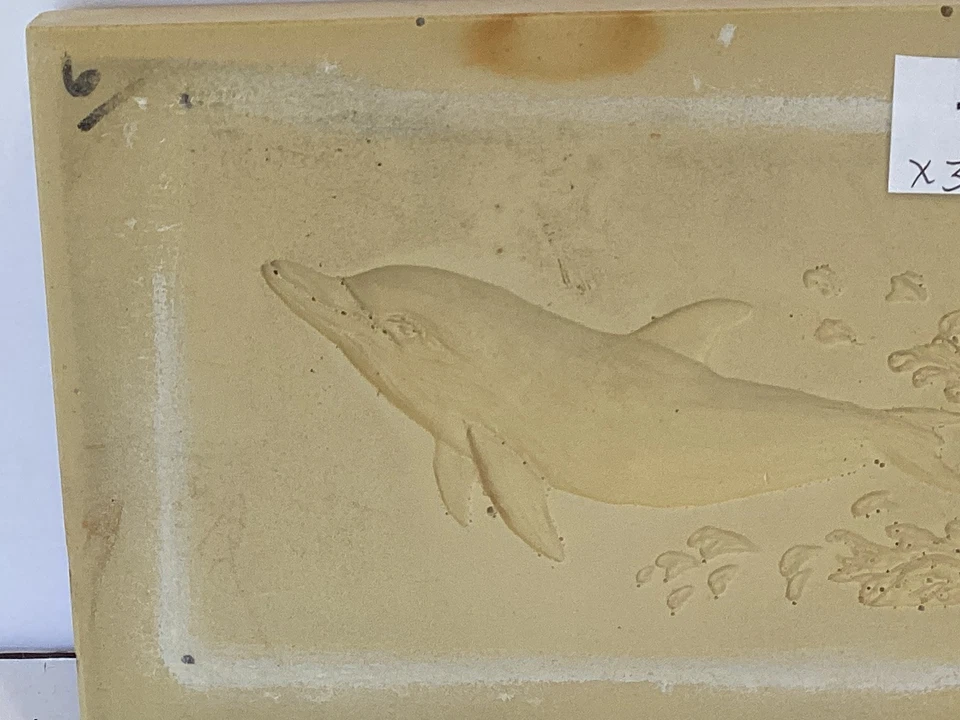 Бумажная литейная форма Dolphin для глины, бумажной массы и воздушной сухой глины #145 - Изображение 3 из 4