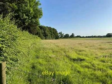 Photo 6x4 Field by Steventon Manor  c2021